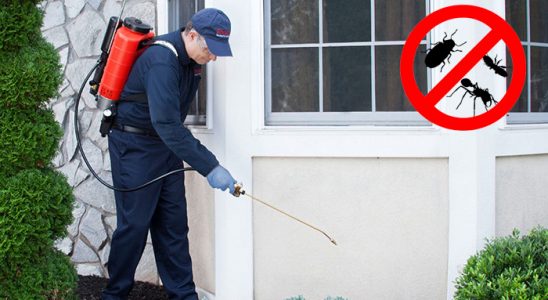 Ardahan Fare İlaçlama böcek ilaçlama ve haşere kontrolü — ilaclama-tr.com